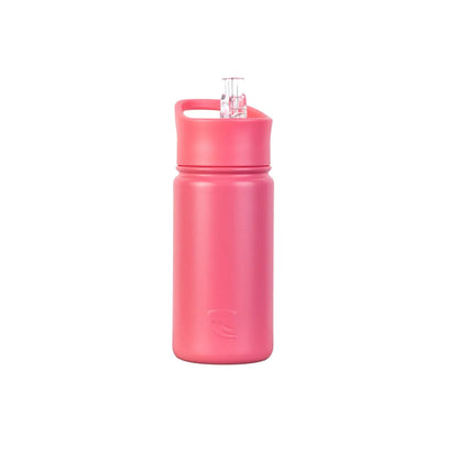 Lizzard Flask 415ML With Straw Lid