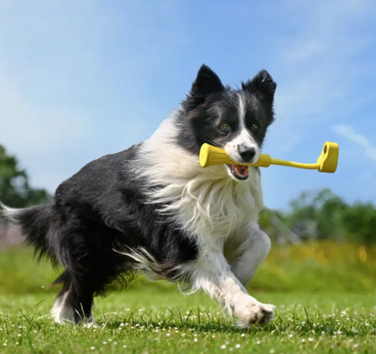 Insta360 GO 3 Fetch Stick