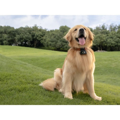 DJI Osmo Nano Action Camera (128GB)