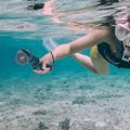 PGYTECH Filter (Professional) (Snorkel Diving) for DJI OSMO Pocket